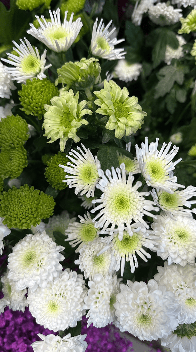 Capture d’écran 2026-01-21 à 00.54.38